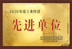 2020工業(yè)經(jīng)濟先進單位