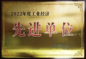 2022工業(yè)經(jīng)濟先進單位
